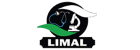 Limal